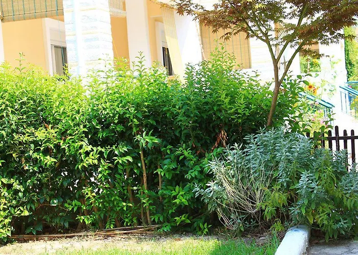 Siviri Rental Houses Appartement Siviri