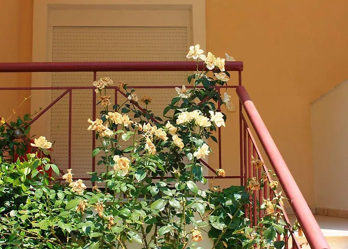 Appartement Siviri Rental Houses Siviri