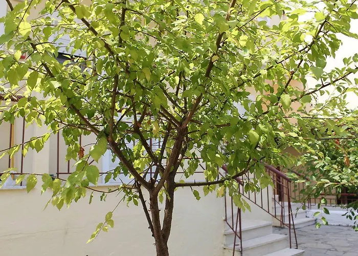 Siviri Rental Houses